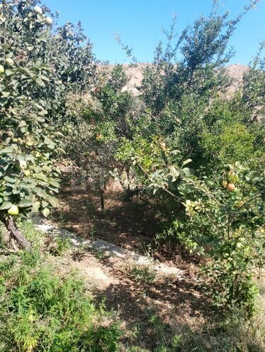 Satılır  torpaq 4 sot, Lökbatan q., photo 7 from 10