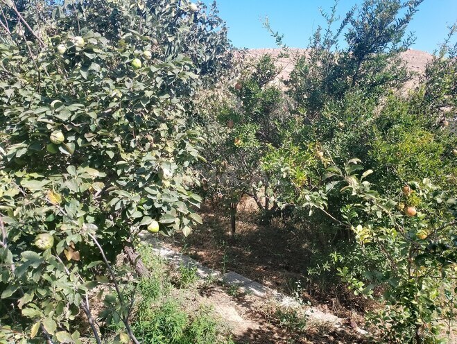 Satılır  torpaq 4 sot, Lökbatan q., photo 6 from 10