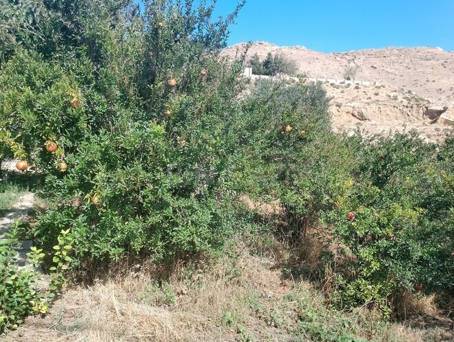 Satılır  torpaq 4 sot, Lökbatan q., photo 4 from 10