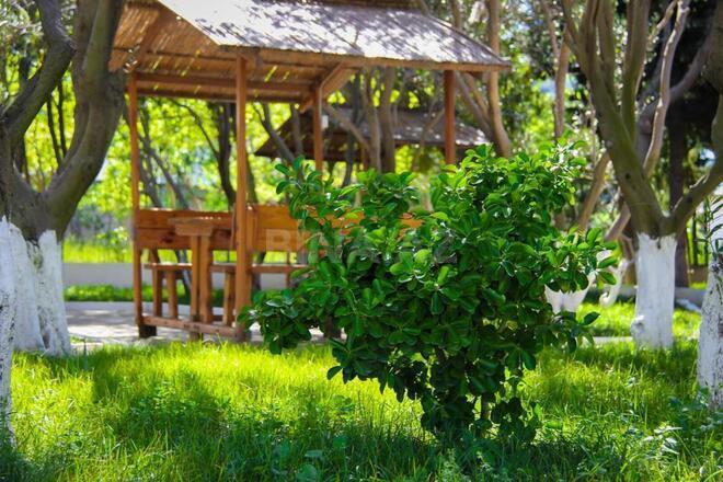 İcarəyə verilir  obyekt 850 m², Lökbatan q., photo 16 from 21