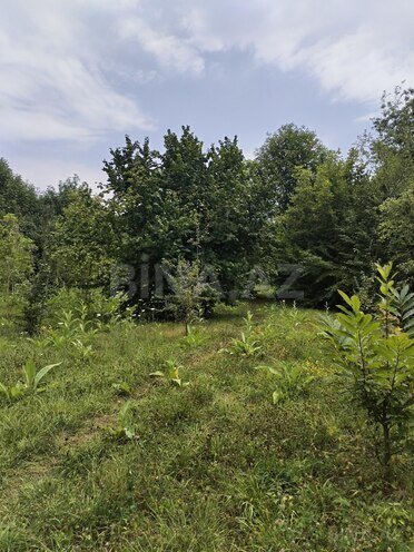 Satılır 2 otaqlı həyət evi/bağ evi 100 m², photo 8 from 10