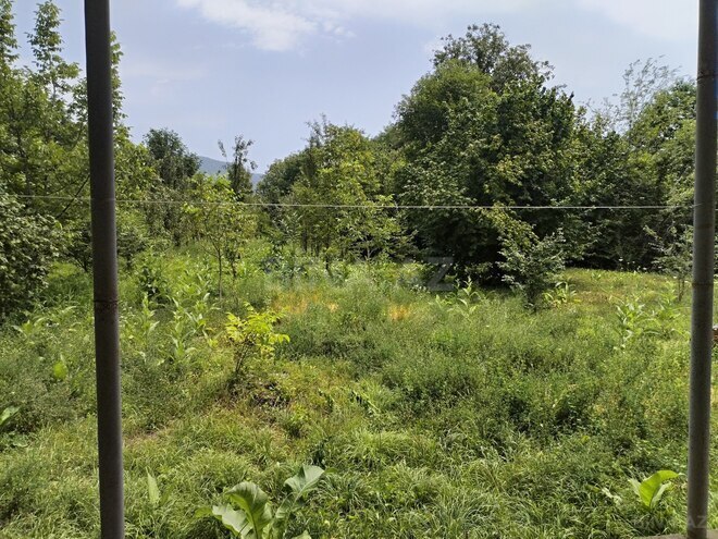 Satılır 2 otaqlı həyət evi/bağ evi 100 m², photo 3 from 10