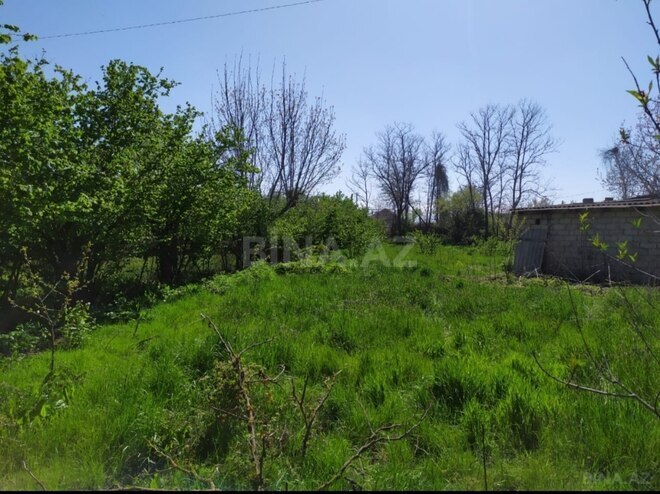 Продаётся  участок 10 сот, Хачмазский р., photo 3 from 4