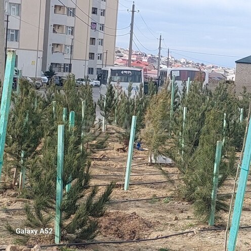 Satılır 4 otaqlı həyət evi/bağ evi 95 m², Xocəsən q., photo 14 from 15