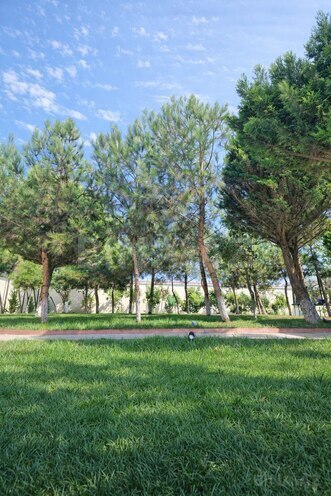 İcarəyə verilir 6 otaqlı həyət evi/bağ evi 500 m², Bilgəh q., photo 7 from 15