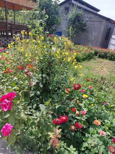 Сдаётся 3-комн. дом/дача 110 м², photo 6 from 18