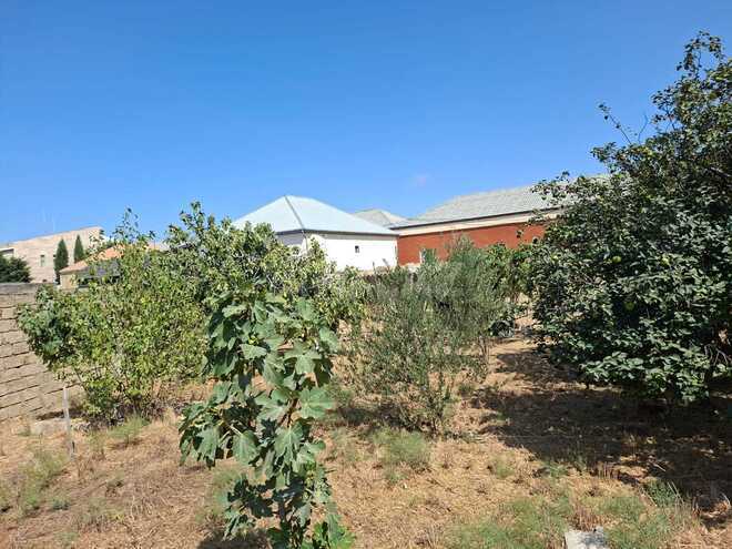 Продаётся  участок 6 сот, пос. Новханы, photo 4 from 5