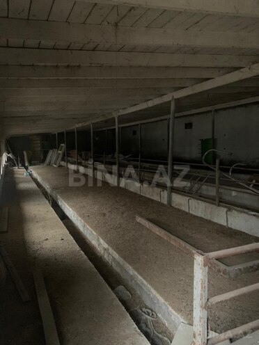 Продаётся  участок 48 сот, пос. Савалан, photo 14 from 15