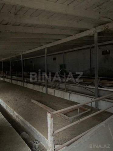 Продаётся  участок 48 сот, пос. Савалан, photo 13 from 15