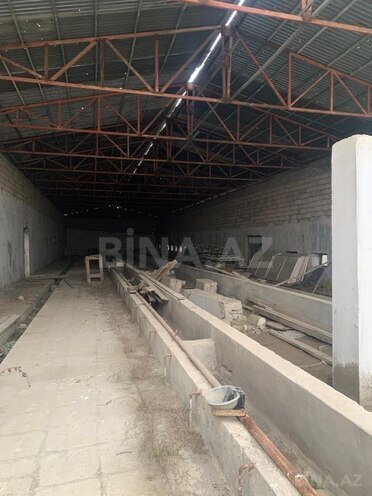 Продаётся  участок 48 сот, пос. Савалан, photo 12 from 15