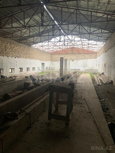 Продаётся  участок 48 сот, пос. Савалан, photo 5 from 15