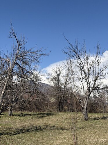 Satılır  torpaq 48 sot, photo 4 from 8