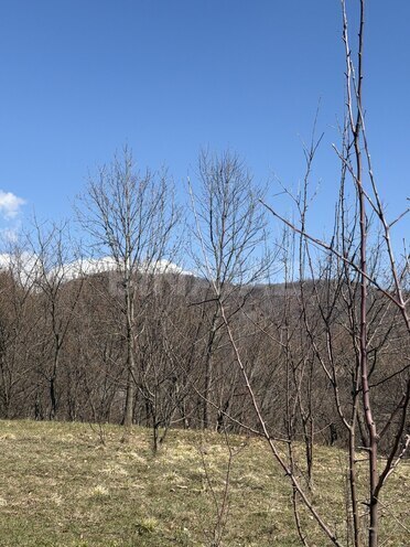 Satılır  torpaq 48 sot, photo 1 from 8