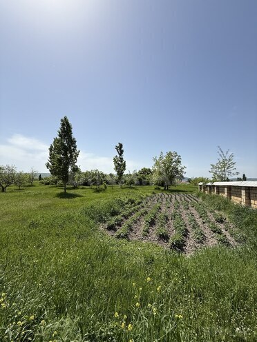 Satılır 4 otaqlı həyət evi/bağ evi 150 m², photo 7 from 29