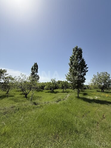 Satılır 4 otaqlı həyət evi/bağ evi 150 m², photo 9 from 29