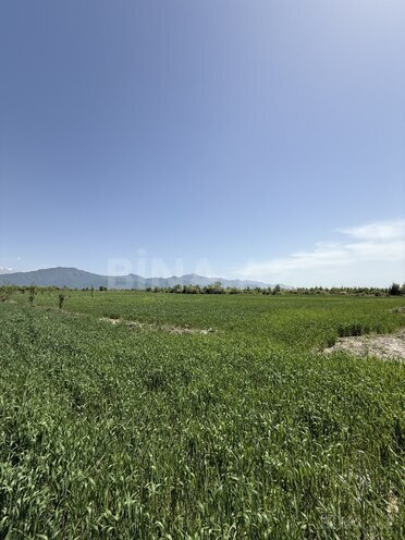 Satılır 4 otaqlı həyət evi/bağ evi 150 m², photo 14 from 29