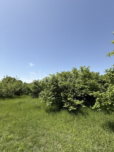 Satılır 4 otaqlı həyət evi/bağ evi 150 m², photo 17 from 29