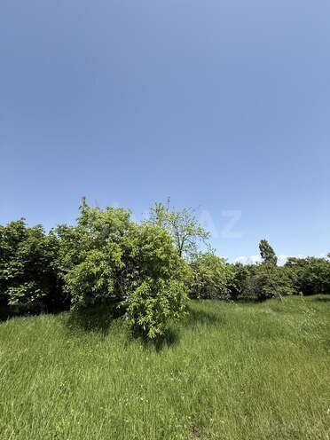 Satılır 4 otaqlı həyət evi/bağ evi 150 m², photo 21 from 29