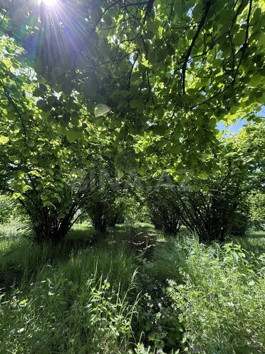 Satılır 4 otaqlı həyət evi/bağ evi 150 m², photo 22 from 29