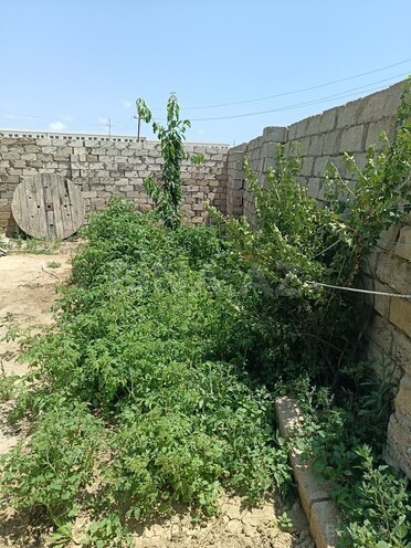 Satılır 3 otaqlı həyət evi/bağ evi 100 m², Dədə Qorqud q., photo 12 from 21