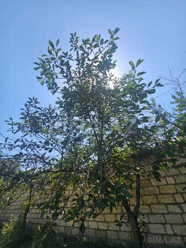 Satılır 4 otaqlı həyət evi/bağ evi 200 m², photo 6 from 32