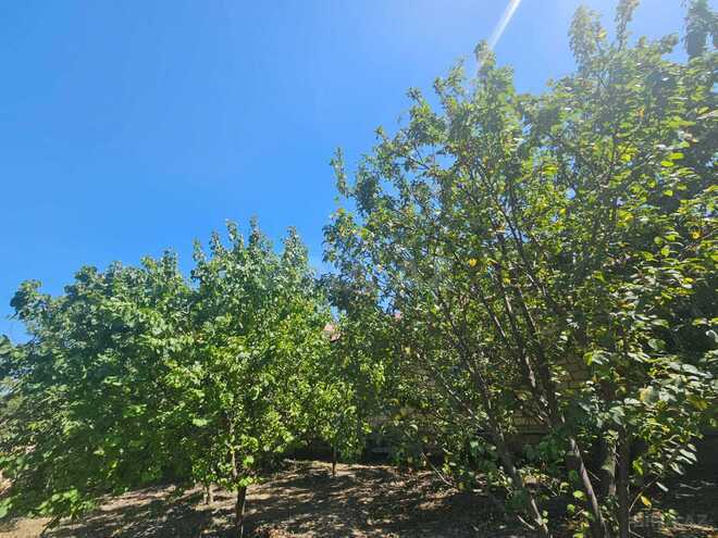 Satılır 4 otaqlı həyət evi/bağ evi 200 m², photo 3 from 32