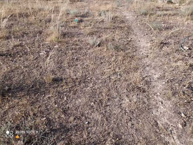 Продаётся  участок 4 сот, photo 4 from 7