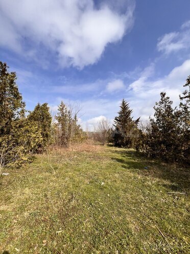 Продаётся  участок 10 сот, photo 4 from 8