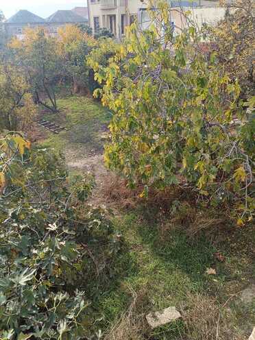 Satılır  torpaq 4 sot, Abşeron r., photo 4 from 9