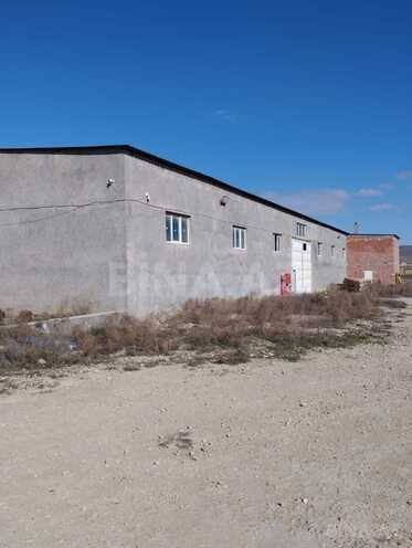 Сдаётся  объект 780 м², пос. Кобу, photo 6 from 11