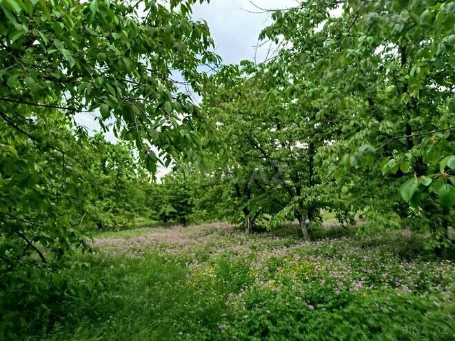 Satılır 5 otaqlı həyət evi/bağ evi 120 m², photo 9 from 20