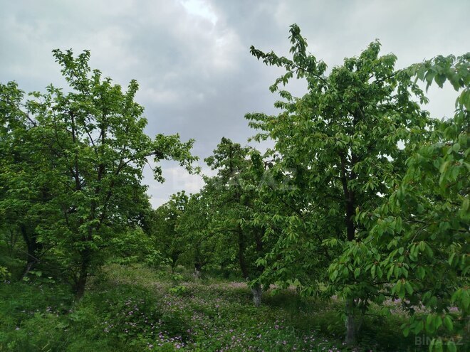 Satılır 5 otaqlı həyət evi/bağ evi 120 m², photo 12 from 20