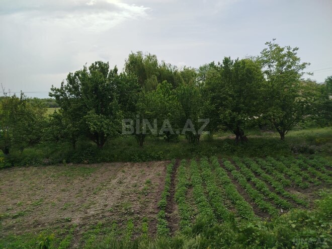 Satılır 5 otaqlı həyət evi/bağ evi 120 m², photo 18 from 20