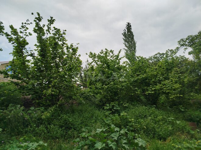 Satılır 5 otaqlı həyət evi/bağ evi 120 m², photo 11 from 20