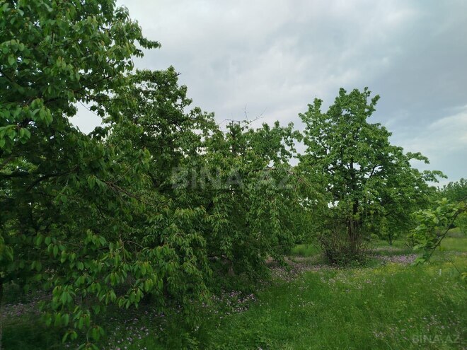 Satılır 5 otaqlı həyət evi/bağ evi 120 m², photo 10 from 20