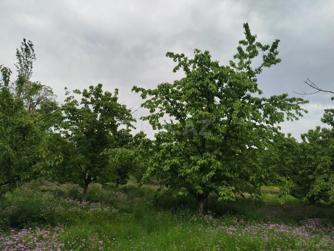 Satılır 5 otaqlı həyət evi/bağ evi 120 m², photo 14 from 20