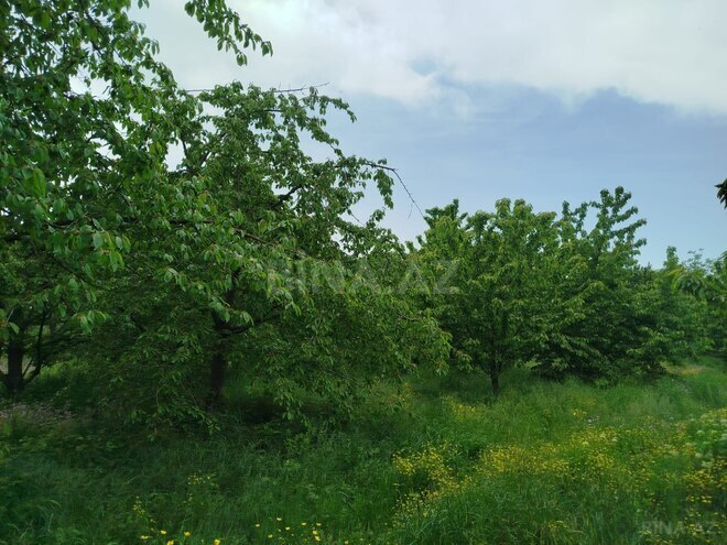 Satılır 5 otaqlı həyət evi/bağ evi 120 m², photo 17 from 20