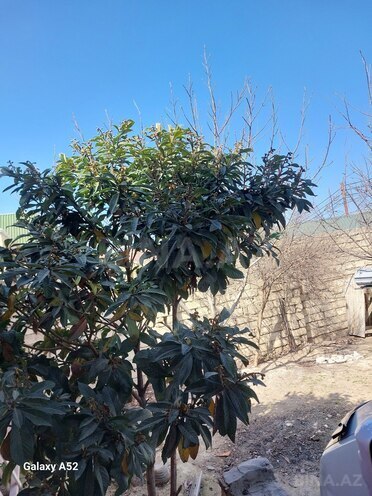 Продаётся 4-комн. дом/дача 130 м², пос. Бина, photo 5 from 21