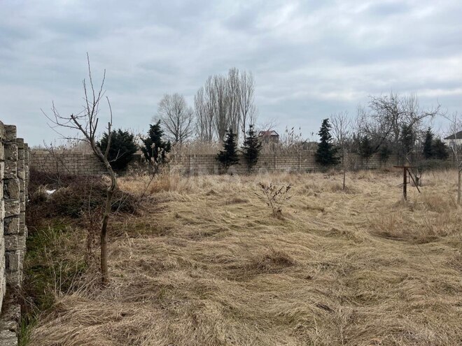 Satılır  torpaq 12 sot, photo 14 from 16