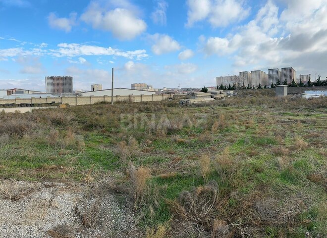 Satılır  torpaq 130 sot, photo 3 from 12