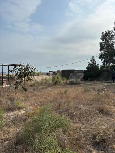 Продаётся  участок 16 сот, Пираллахи р., photo 8 from 19