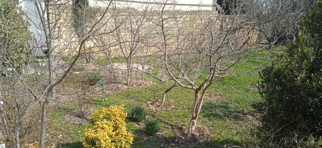 Satılır  torpaq 4 sot, Badamdar q., photo 1 from 7