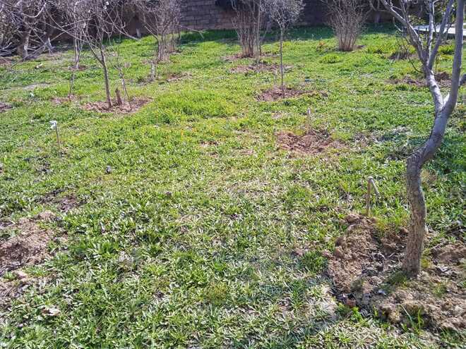 Satılır  torpaq 4 sot, Badamdar q., photo 4 from 7