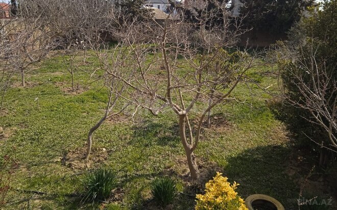 Satılır  torpaq 4 sot, Badamdar q., photo 6 from 7