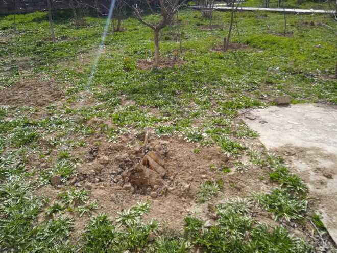 Satılır  torpaq 4 sot, Badamdar q., photo 5 from 7