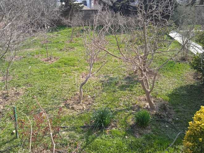 Satılır  torpaq 4 sot, Badamdar q., photo 3 from 7