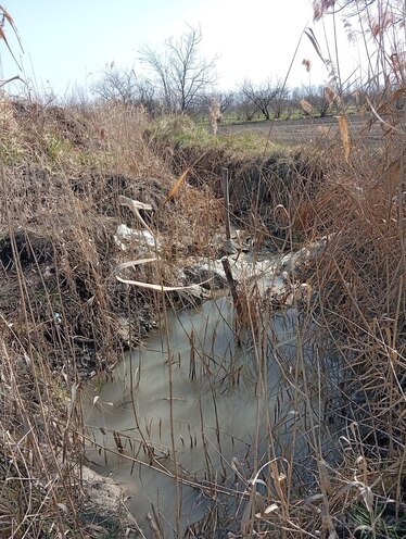 Satılır  torpaq 150 sot, Xaçmaz r., photo 5 from 6