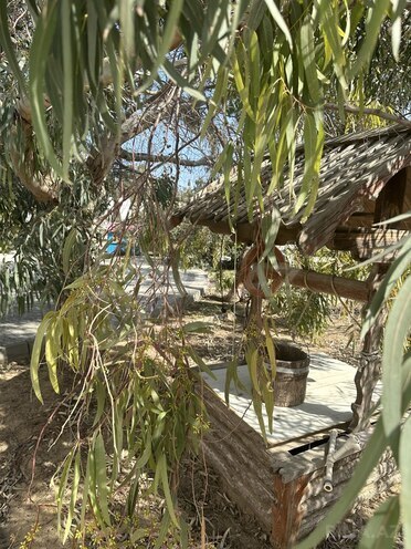 İcarəyə verilir 9 otaqlı həyət evi/bağ evi 1 000 m², Bilgəh q., photo 15 from 32