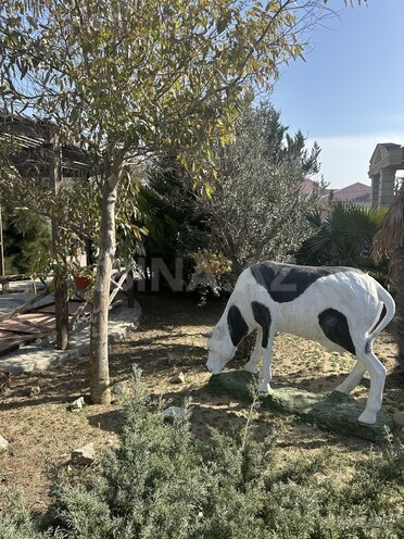 İcarəyə verilir 9 otaqlı həyət evi/bağ evi 1 000 m², Bilgəh q., photo 11 from 32