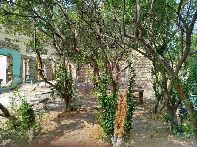 Satılır 2 otaqlı həyət evi/bağ evi 78 m², Qara Qarayev m., photo 3 from 8